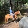 debjfarmgirl